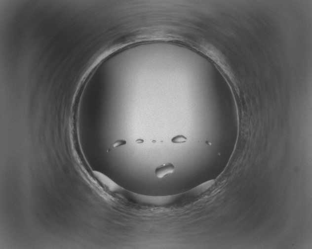 X0000083981187200702232036