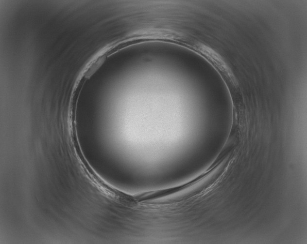 X0000083981188200702232036