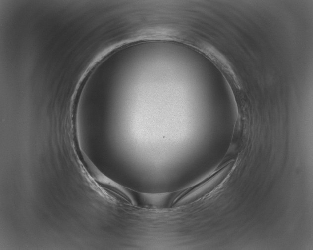 X0000083981192200702232036