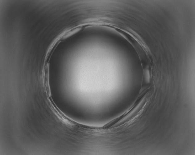 X0000083981196200702232036