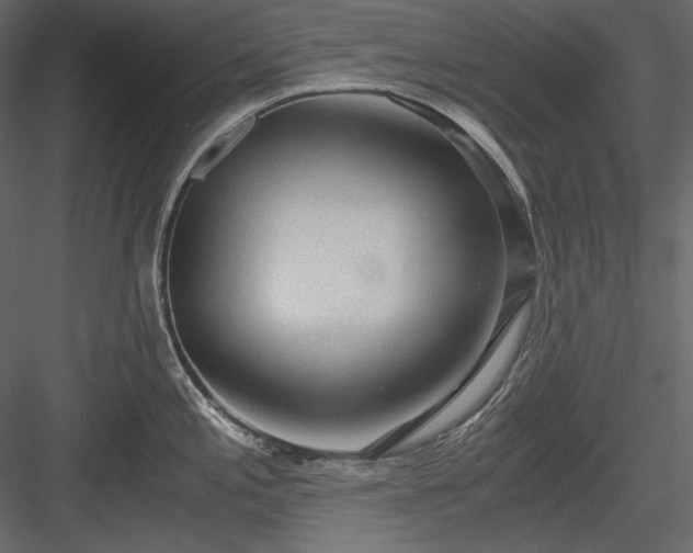 X0000083981197200702232036