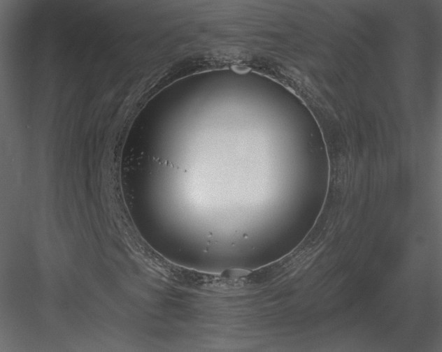 X0000083981201200702232035