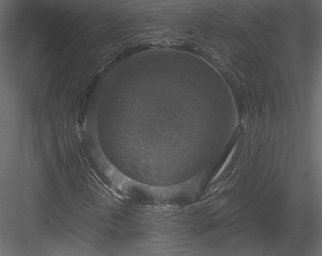 X0000083981202200702232035