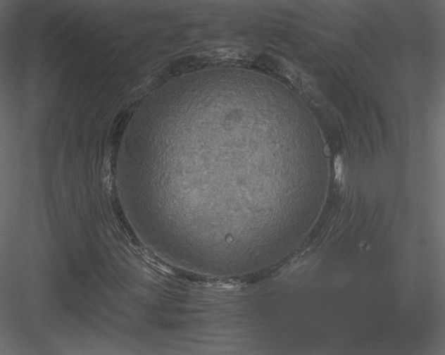 X0000083981203200702232035