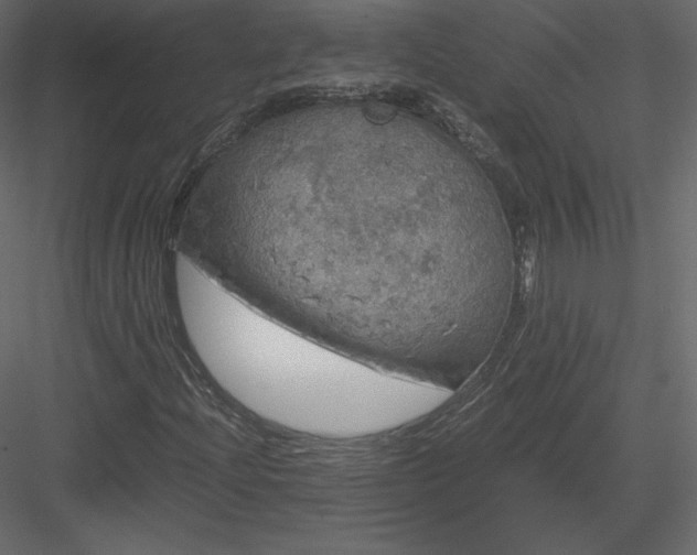 X0000083981204200702232035