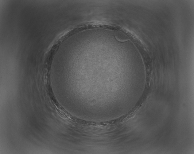 X0000083981207200702232035