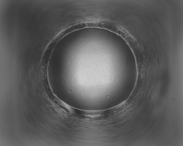 X0000083981208200702232035