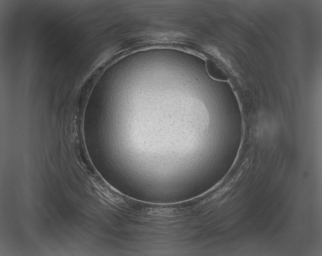 X0000083981211200702232035