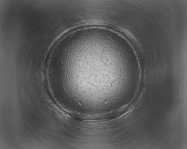 X0000083981212200702232035