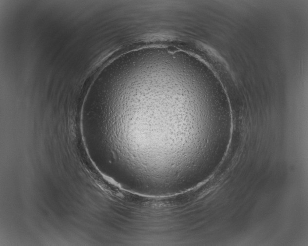 X0000083981217200702232036