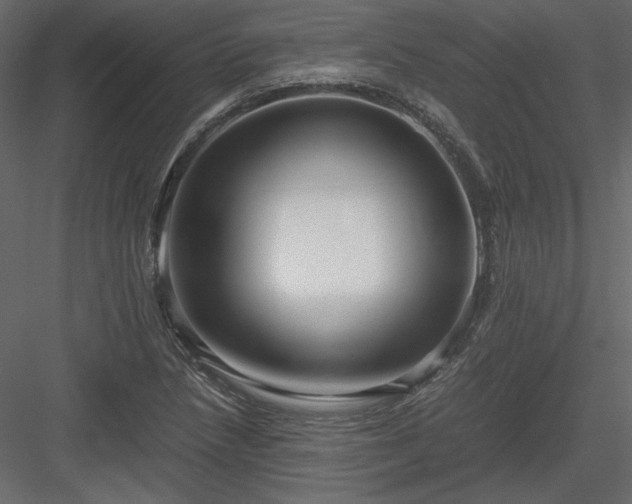 X0000083981218200702232036