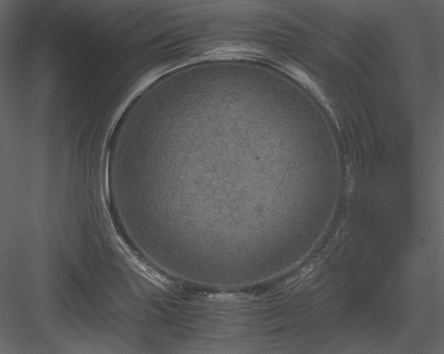 X0000083981227200702232036
