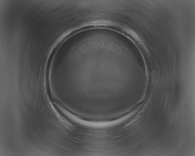 X0000083981229200702232036