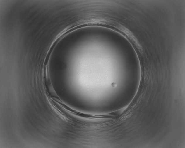X0000083981234200702232036