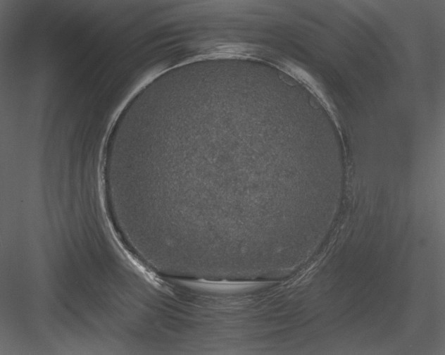 X0000083981235200702232036