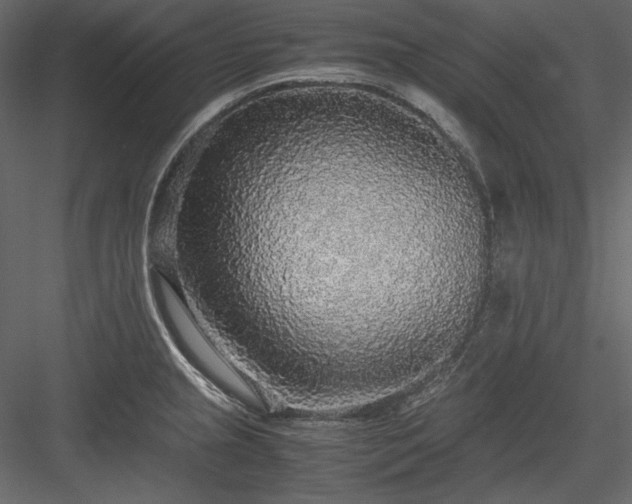 X0000083981237200702232036
