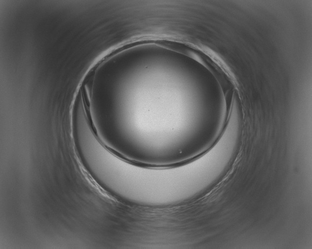X0000083981238200702232036