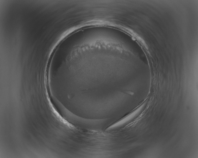 X0000083981239200702232036