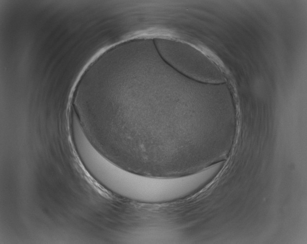 X0000083981248200702232036