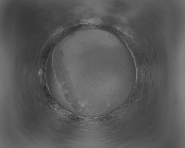 X0000083981254200702232035