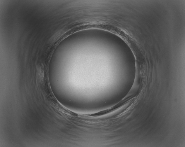 X0000083981257200702232035