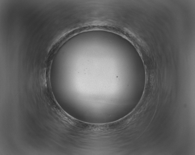 X0000083981262200702232035
