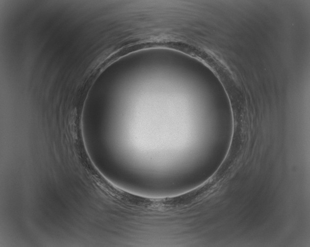 X0000083981265200702232035
