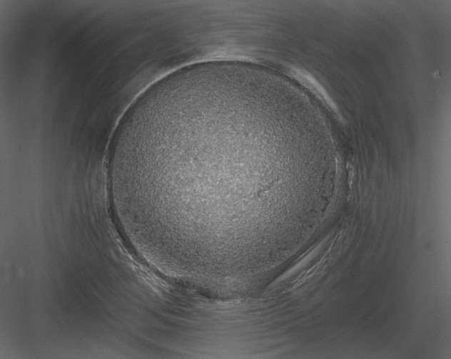 X0000083981268200702232035