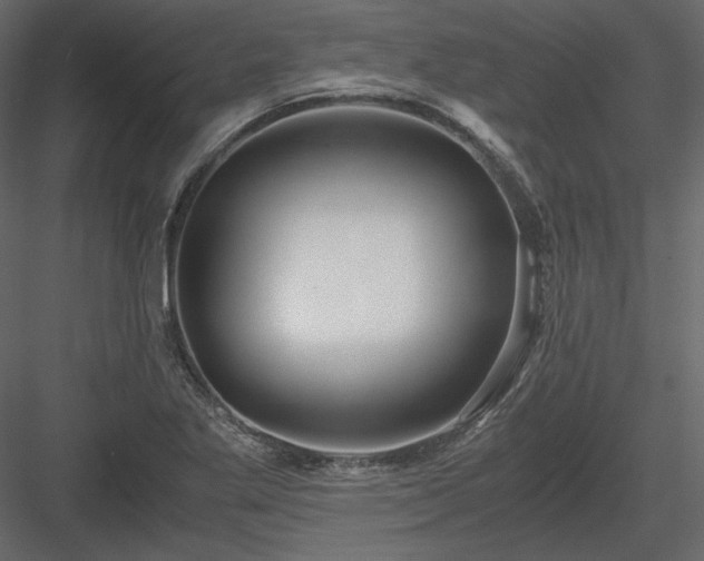 X0000083981269200702232035
