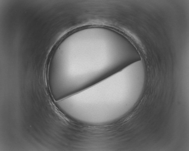 X0000083981272200702232035