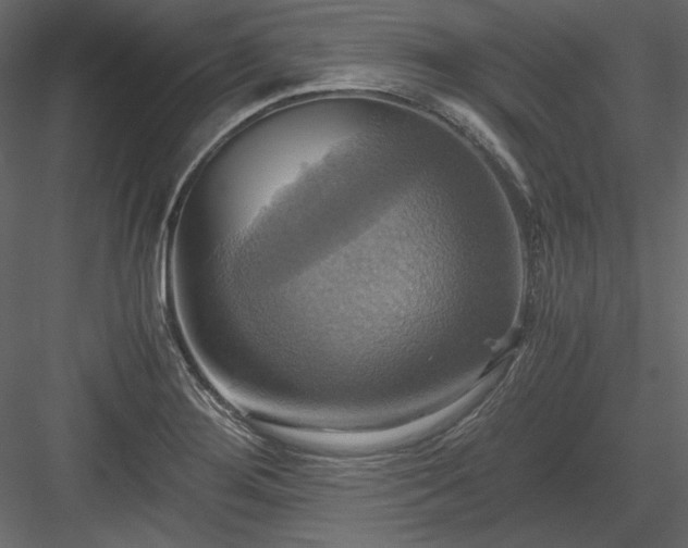 X0000083981276200702232035