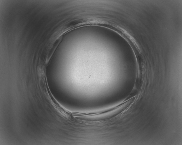 X0000083981281200702232035