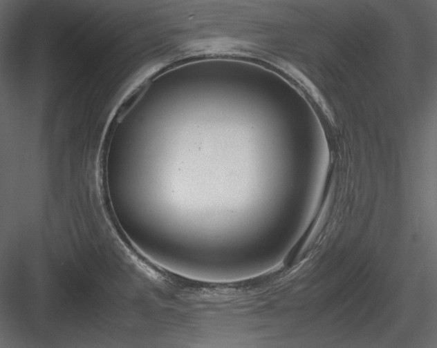 X0000083981285200702232035