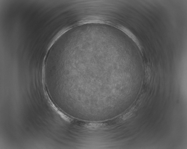 X0000083981290200702232035