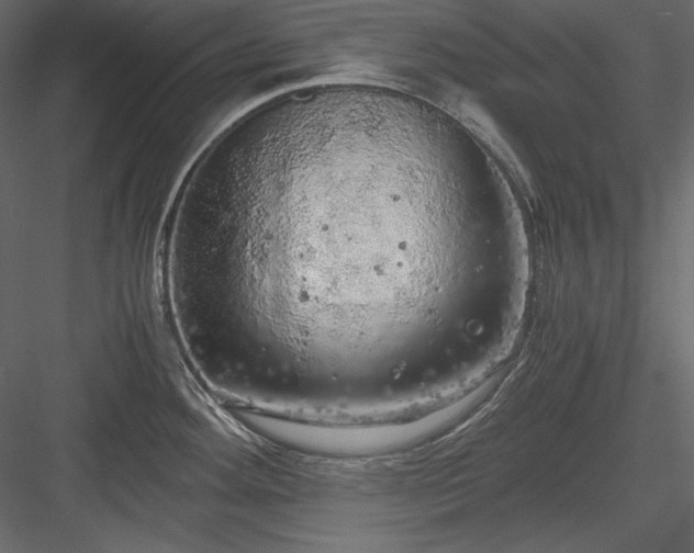 X0000083981292200702232034