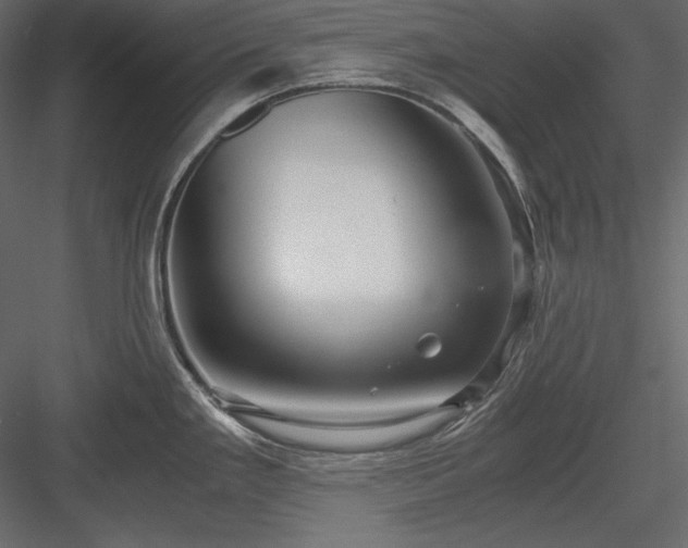 X0000083981293200702232034