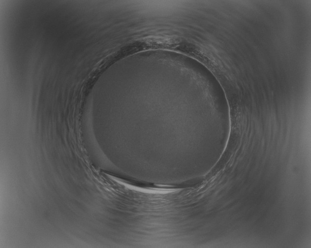 X0000083981297200702232034