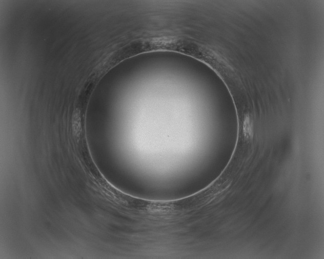 X0000083981299200702232034