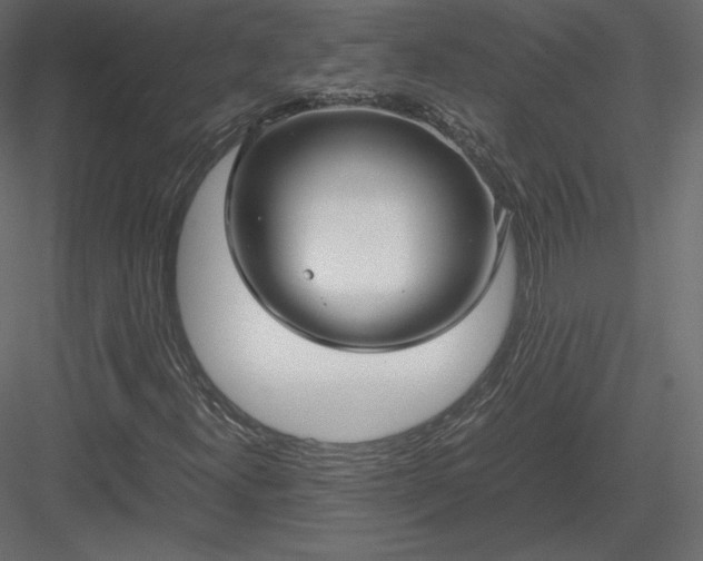 X0000083981300200702232034