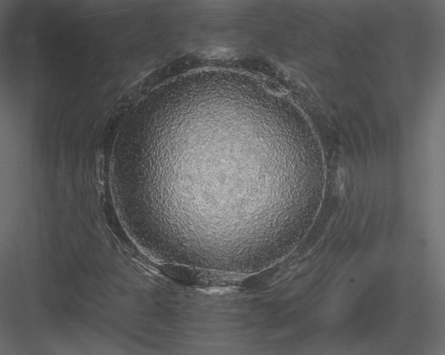 X0000083981301200702232034