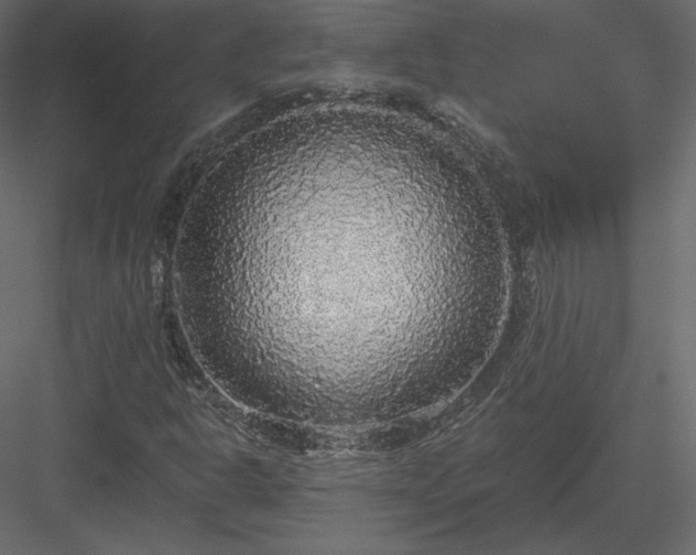 X0000083981302200702232034