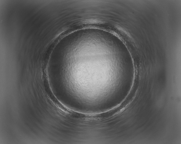 X0000083981305200702232034