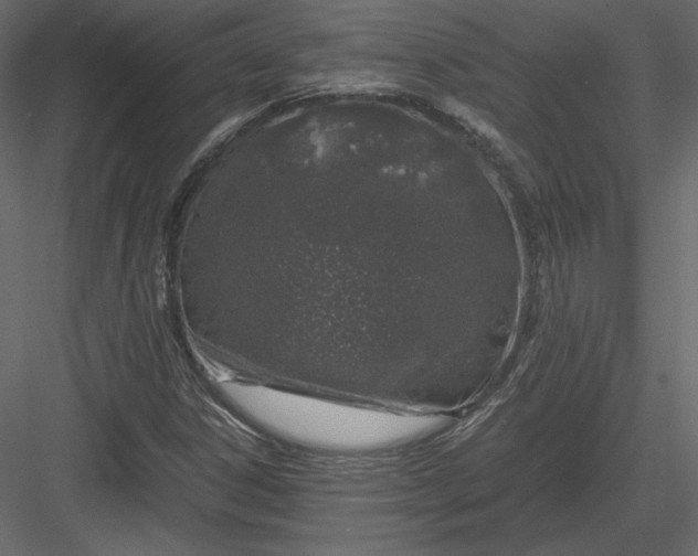 X0000083981306200702232034