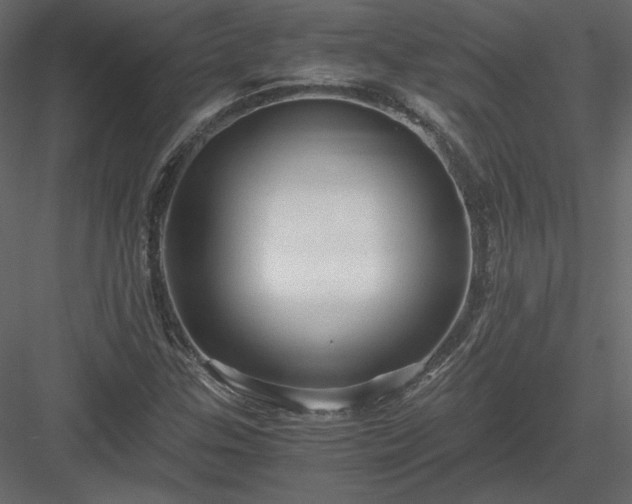 X0000083981307200702232034