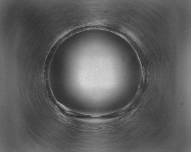 X0000083981308200702232034