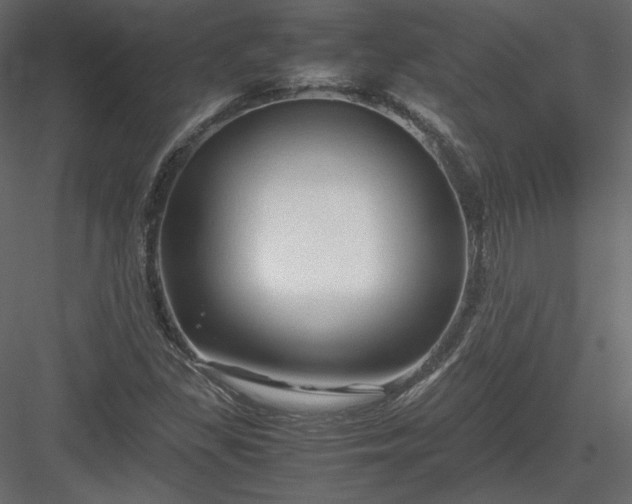 X0000083981309200702232034