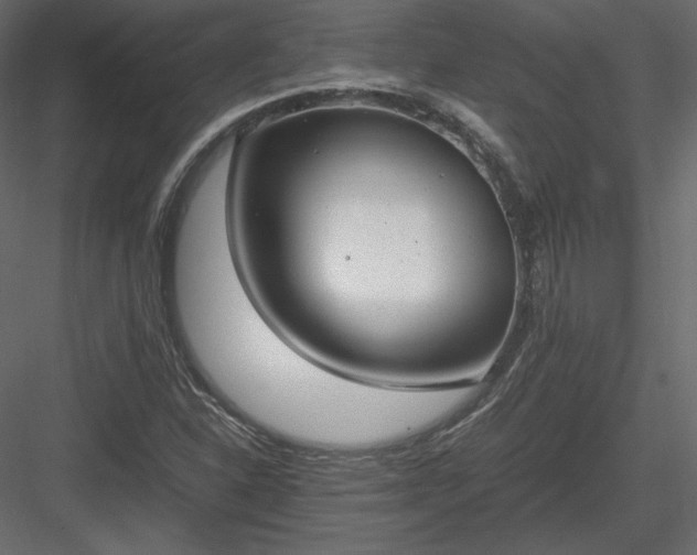 X0000083981310200702232034