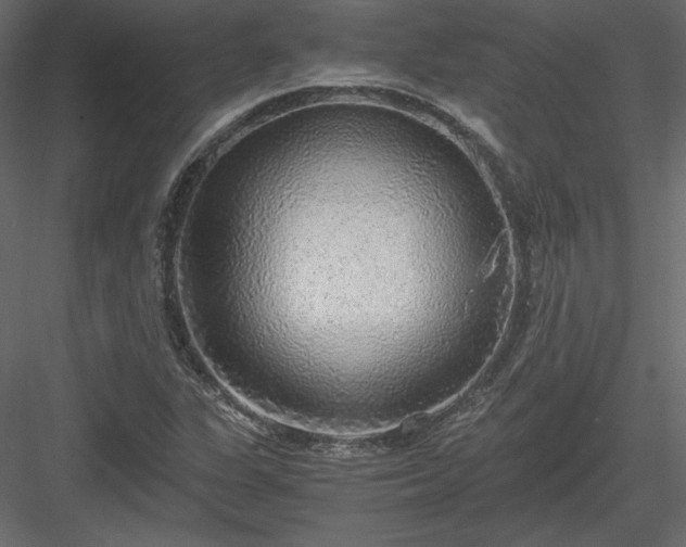X0000083981311200702232034