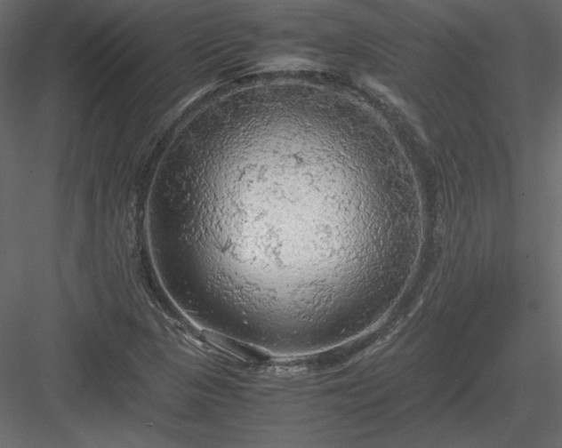 X0000083981313200702232034