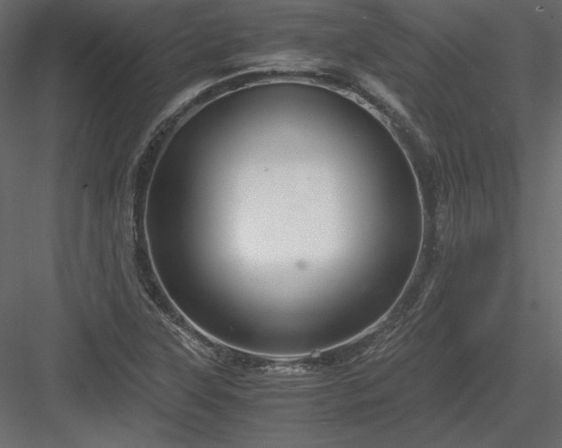 X0000083981315200702232034